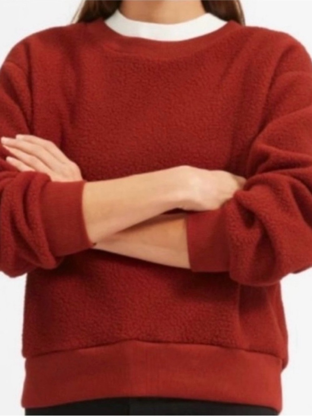 Everlane ReNew Sherpa Teddy Fleece Crewneck Pullover Rust Red Size Medium - Picture 6 of 16
